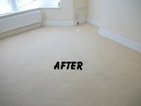 Cleaner Carpets Bristol 357478 Image 5